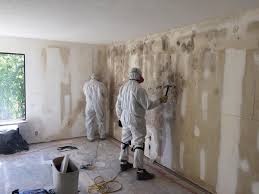 Best Biohazard Mold Removal  in Black Hammock, FL